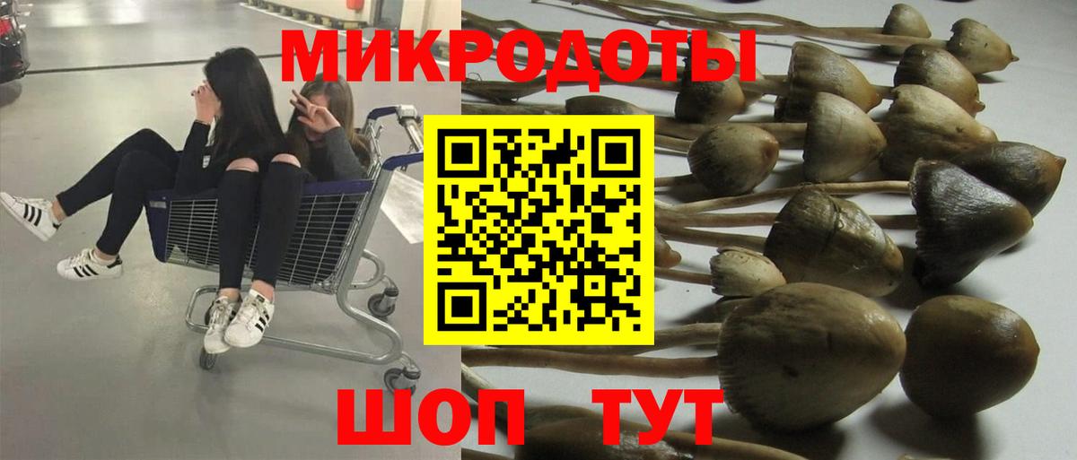 Псилоцибиновые грибы Psilocybine cubensis Луга